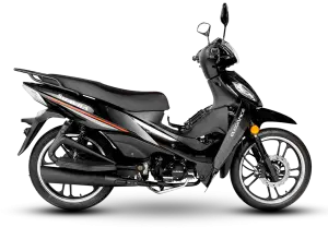 ELEGANCE 110 - 2026
