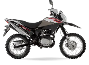TRIAX 200 - 2026
