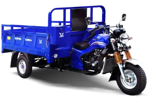 TRIMOTO CARGA ZS 250 CM - 2026
