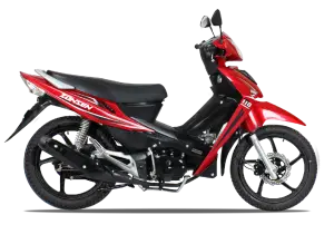 ZS 110 S - 2026