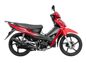 ZS 125 - 2026